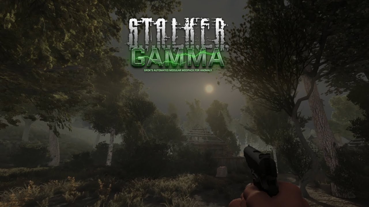 An Unedited video of S.T.A.L.K.E.R GAMMA