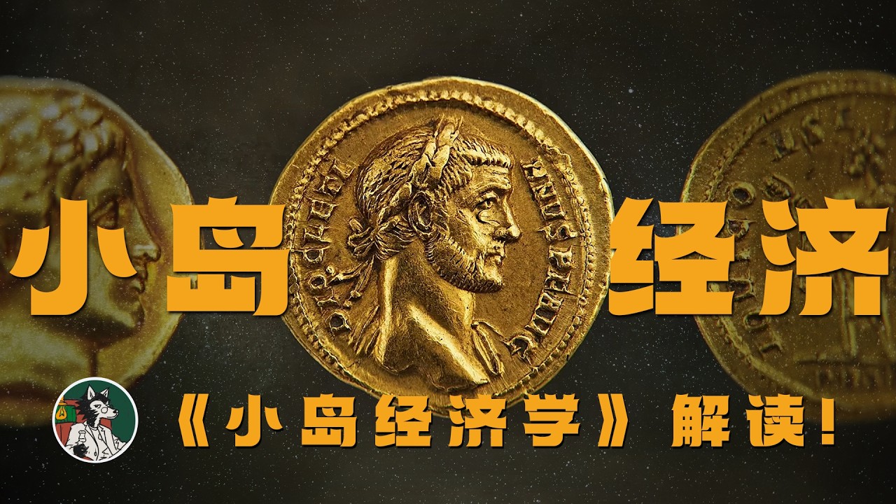 《小岛经济学》解读！！！#独立思考 #经济学 #经济学知识 #自我提升 #小岛经济学