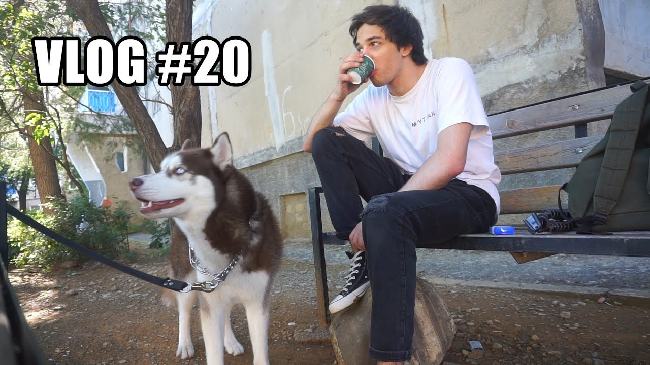 დილა ტობისთან ერთად | VLOG #20