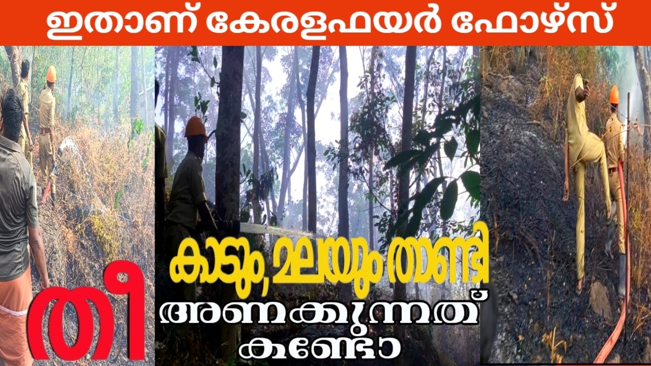 ജനവാസ മേഖലയിൽ വൻ തീപിടുത്തം | കേരളഫയർഫോഴ്‌സ് കാടും മലയും താണ്ടി തീ അണച്ചു | Well done Fire Force