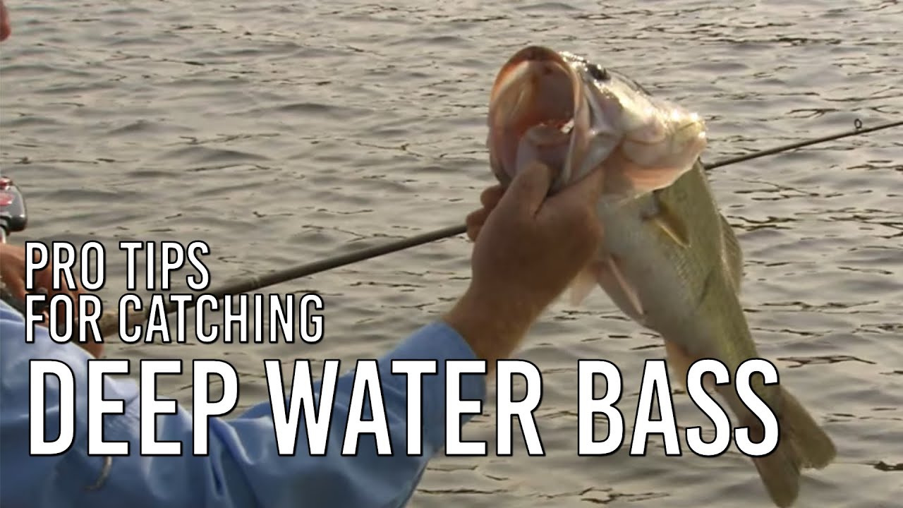 Catching Deep Water Largemouth Bass