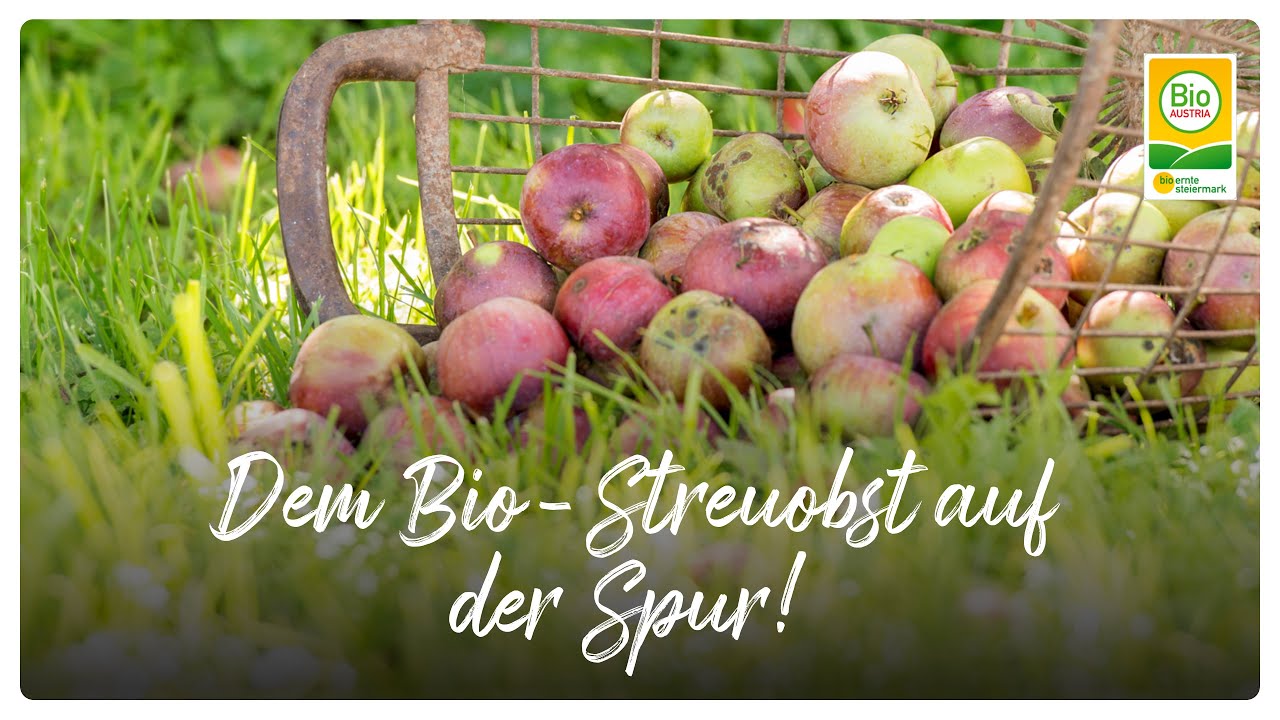 Dem Bio-Streuobst auf der Spur!