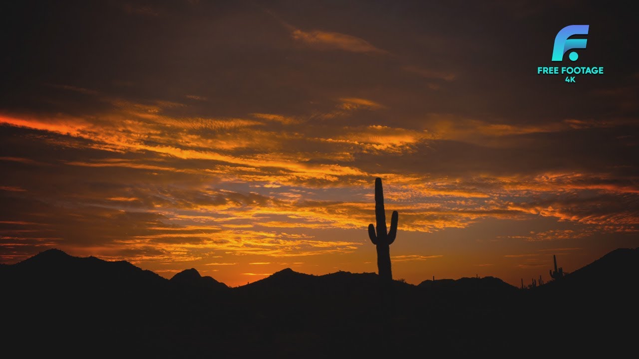 saguaro cactus with sky | 4K Footage