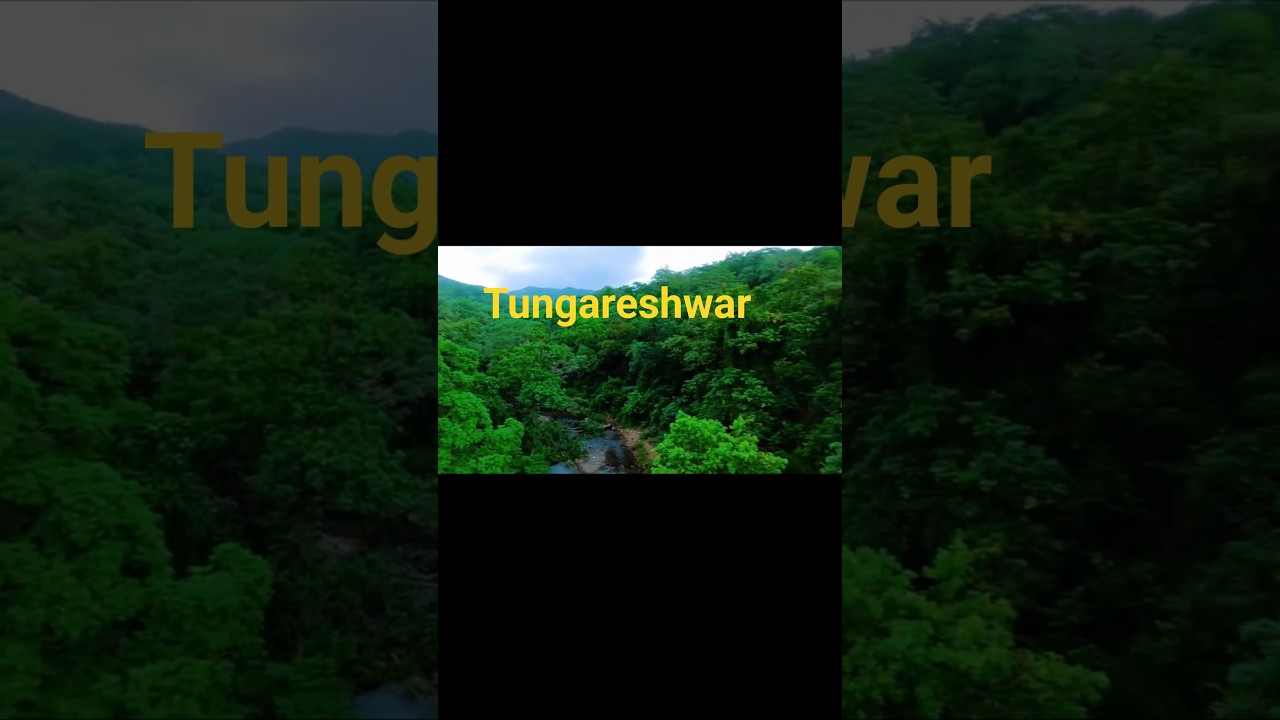 Tungareshwar Temple & Waterfall | Hidden Gem of Vasai | Ultimate Nature Escape
