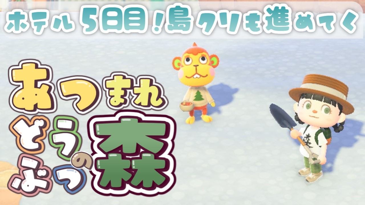 【のんびりまったり】kuma.のあつまれどうぶつの森［LIVEアーカイブ］