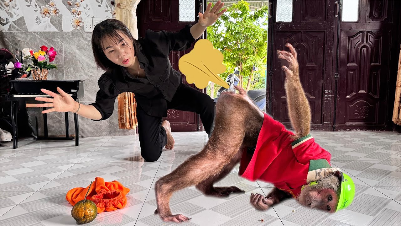 Abu monkey poop! He waits for help from mom!