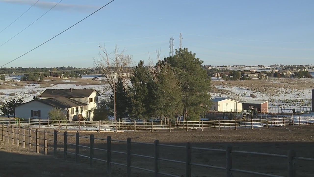 Douglas County bust nets drugs, guns, and more than $2,000 in cash