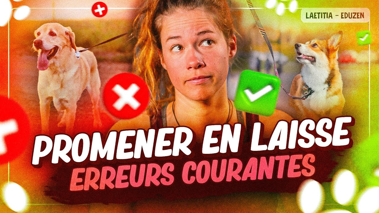 Les erreurs &agrave; &eacute;viter quand vous promenez votre chien en laisse | Laetitia Gonnon - Eduzen