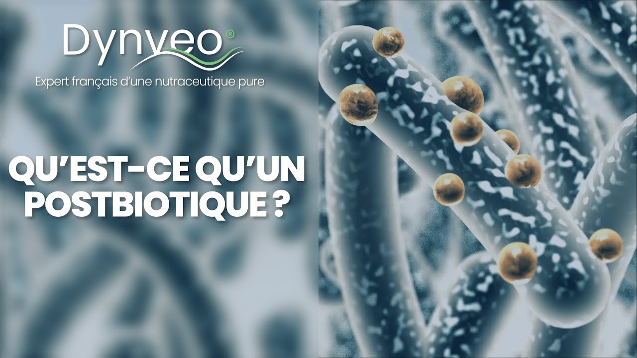 Qu'est-ce qu'un postbiotique ?