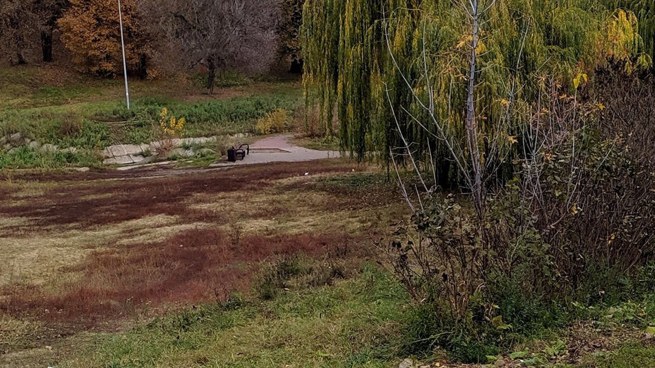 Посадка молодых деревьев в спортивном сквере города Липецка 