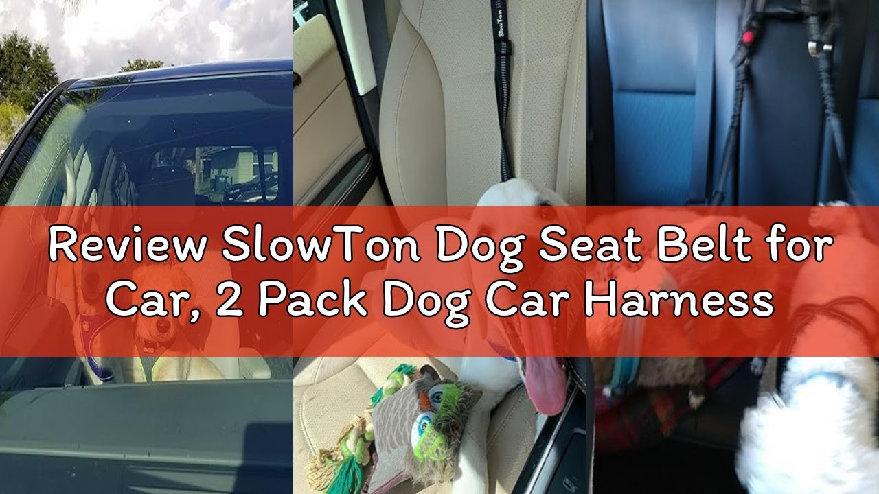 Review SlowTon Dog Seat Belt for Car, 2 Pack Dog Car Harness Seatbelt Adjustable with Elastic Bungee