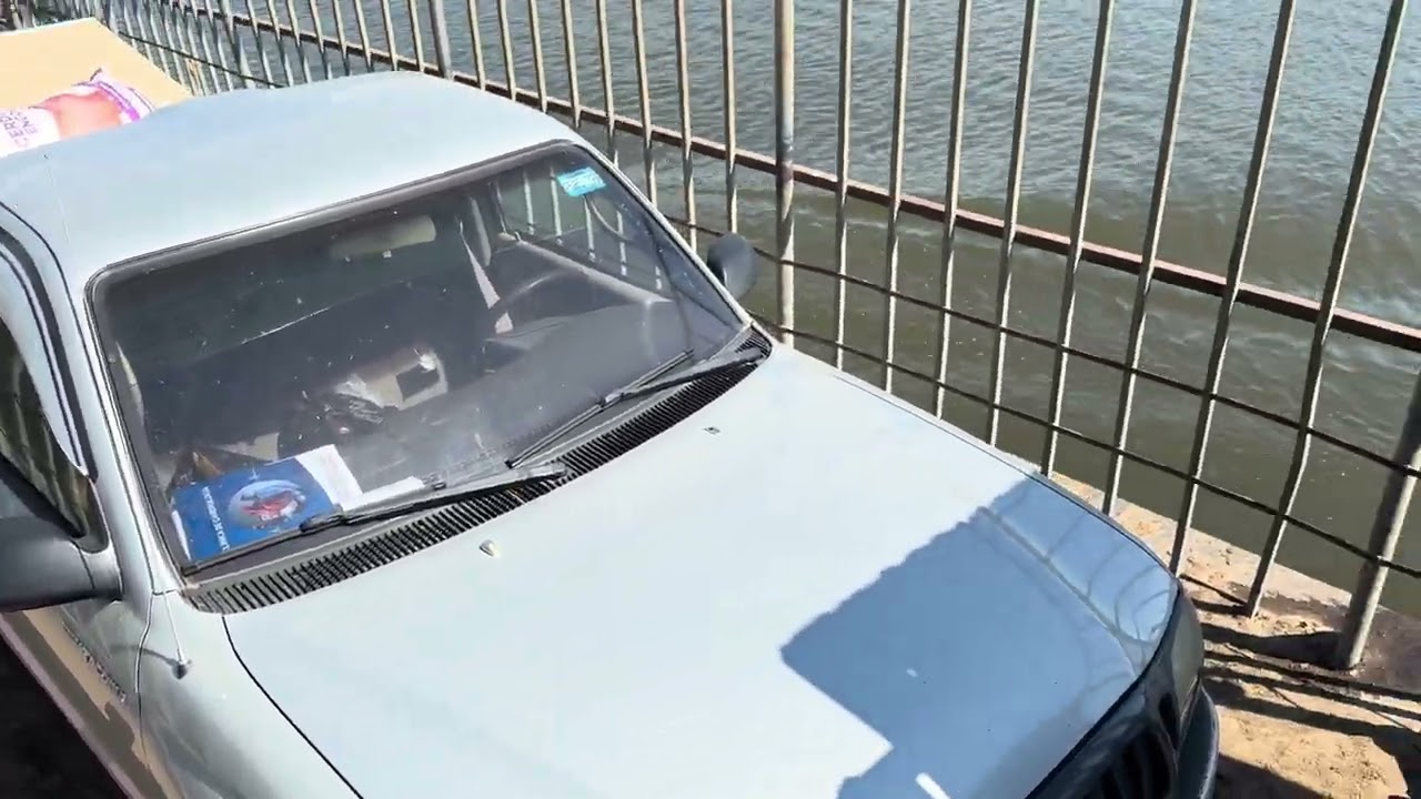 Estos motoristas casi chocan a un tiburón en el río 