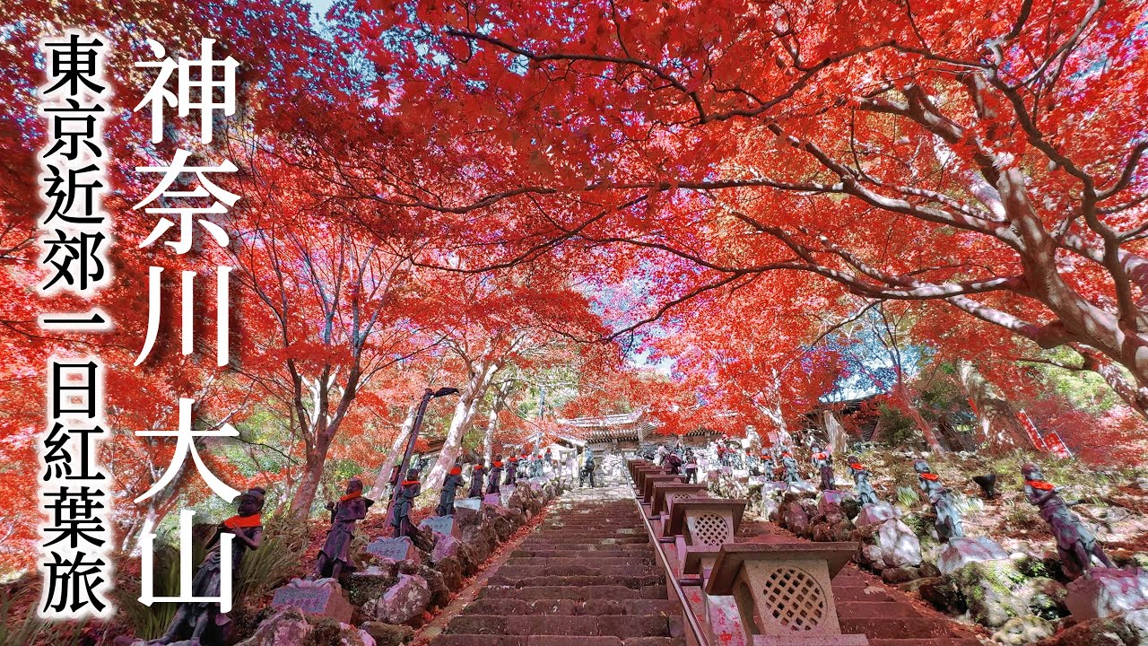 大山｜東京近郊一日賞楓旅🍁阿夫利神社&大山寺的壯觀夜楓！｜搭纜車可到的絕景茶寮｜大山登頂！紅葉見頃｜神奈川、日本旅遊、日本旅行、Satori日本生活