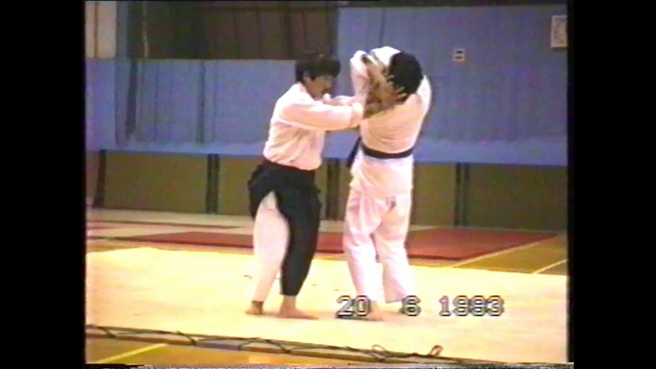 Kai Shin Kai Archives : Minoru Kanetsuka 20 June 1993