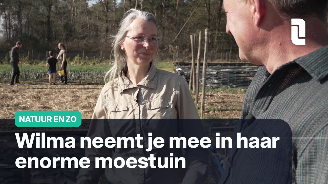 Groene Vingers: de moestuin van Wilma Hurkens | Natuur en Zo 🌿
