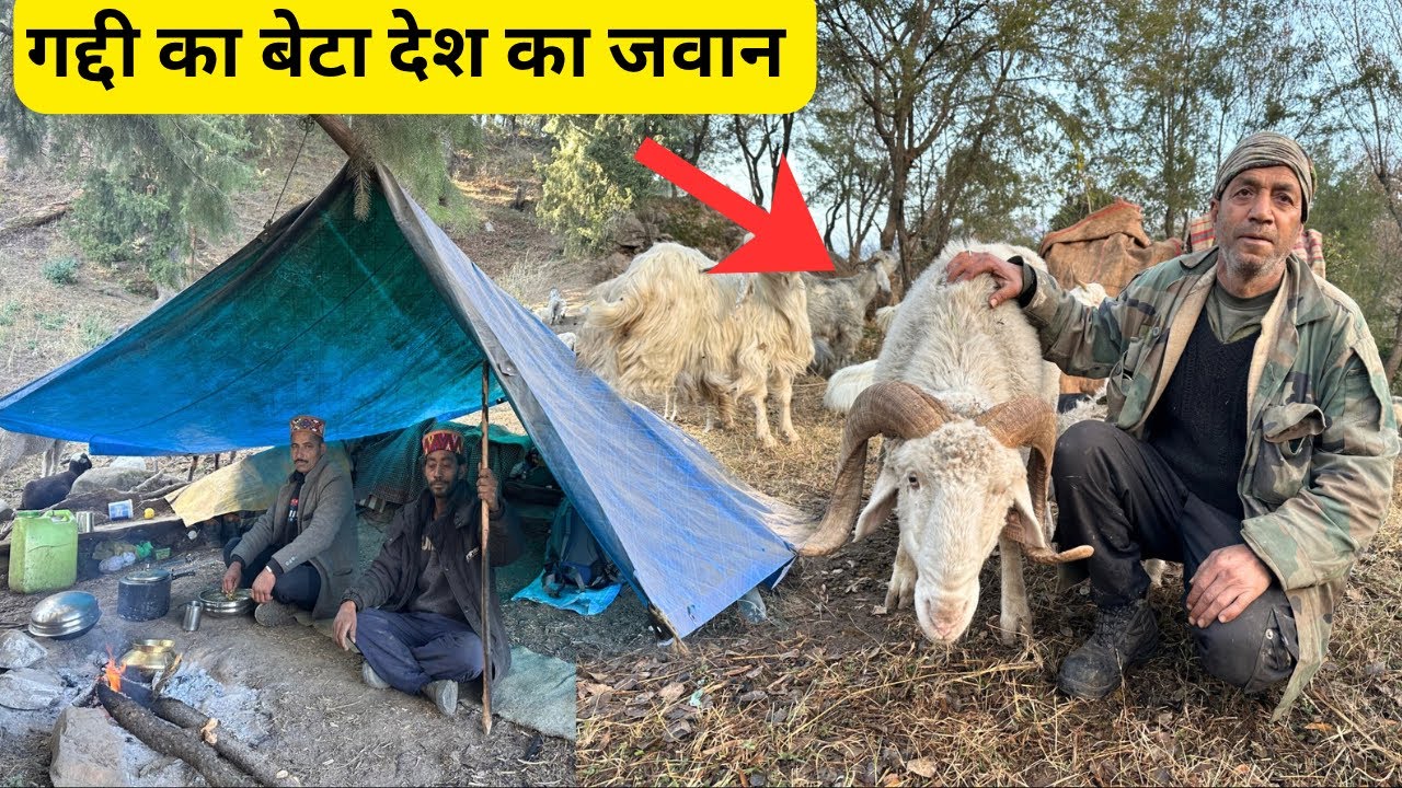 बड़ा भंगाल के घुमंतू चरवाह का बेटा आर्मी में भर्ती | रिटायरमेंट के बाद यहाँ भर्ती करेंगे ! Nomadic 
