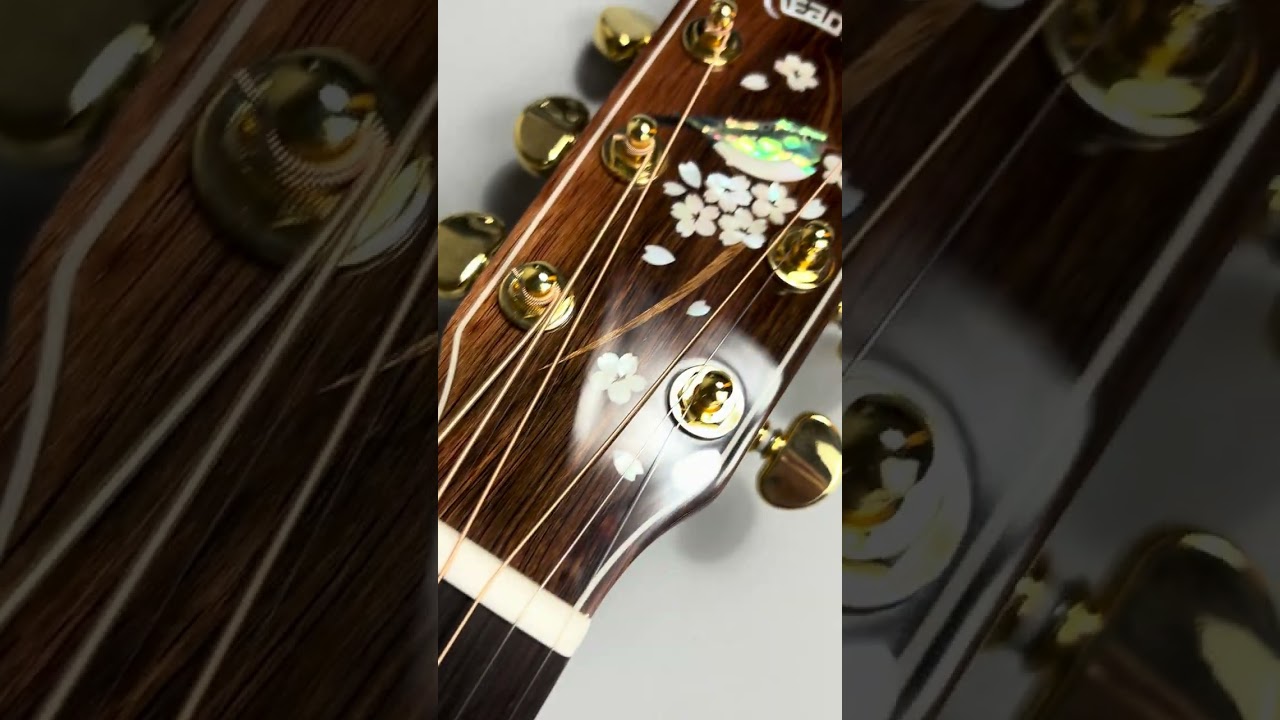 HEADWAY HF-KOBOREZAKURA 【島村楽器京都桂川店】 #アコースティックギター