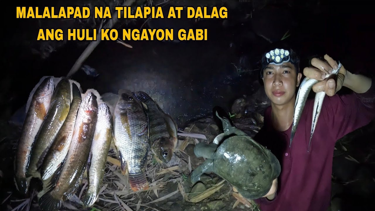 PANGINGILAW NG GABI NAPAKADAMI NG AHAS PAGONG ANG NAHULI