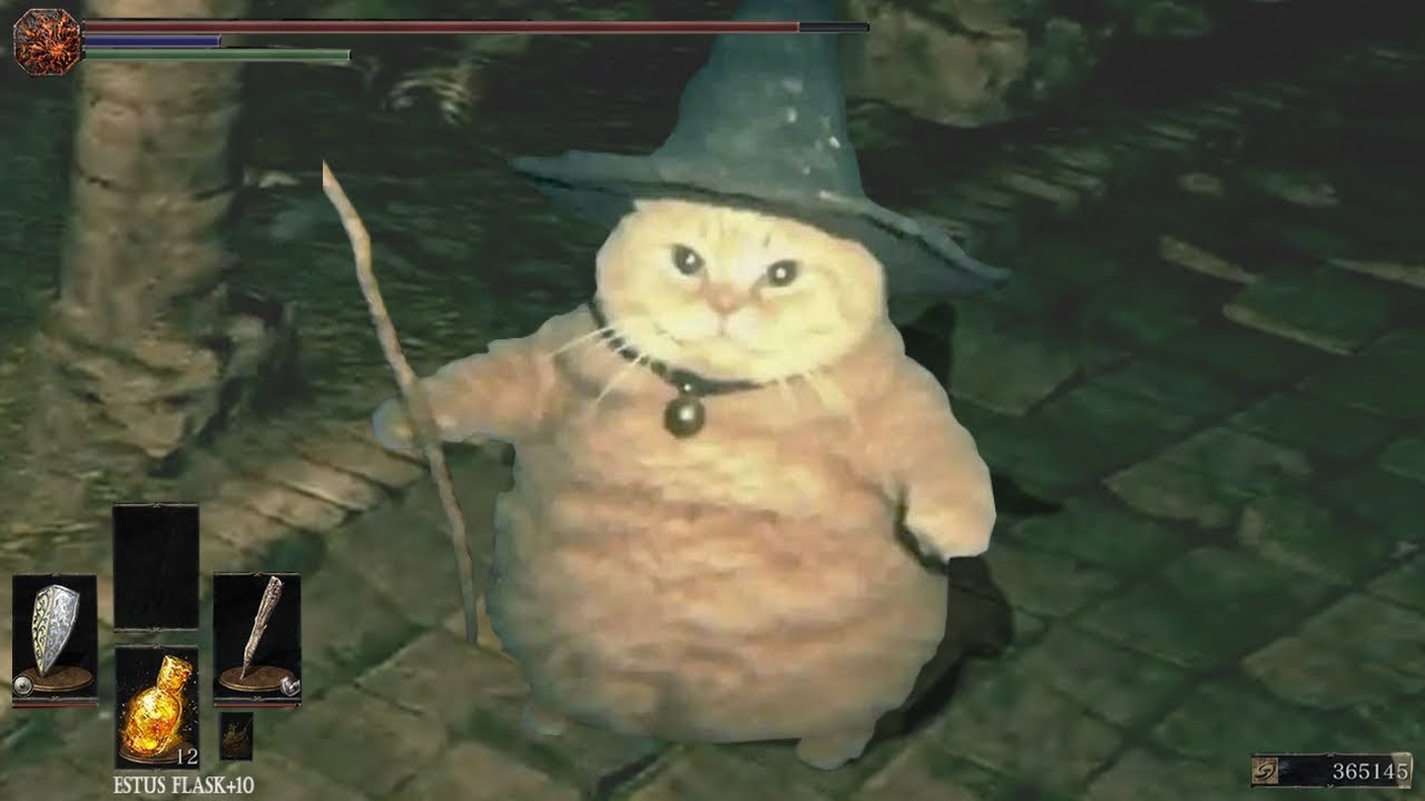 Memes recommended by 9 out of 10 wizards