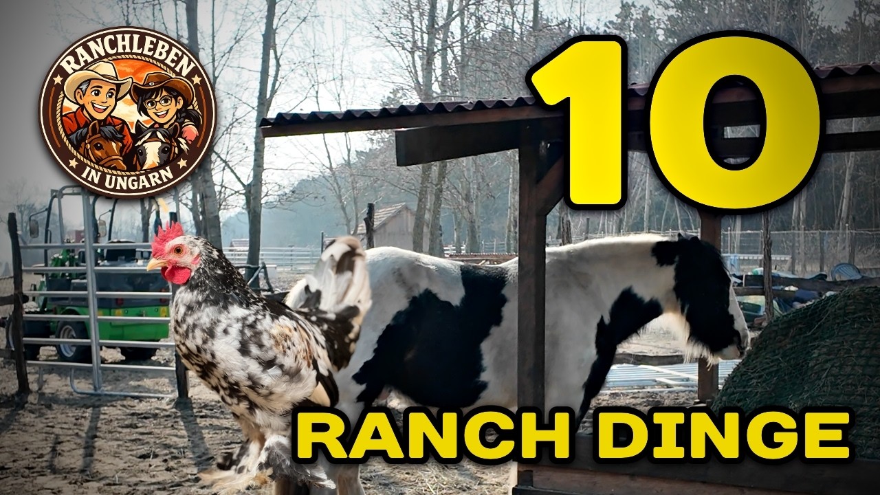 🐎 10 Dinge auf unserer Ranch, die wir nie mehr missen möchten