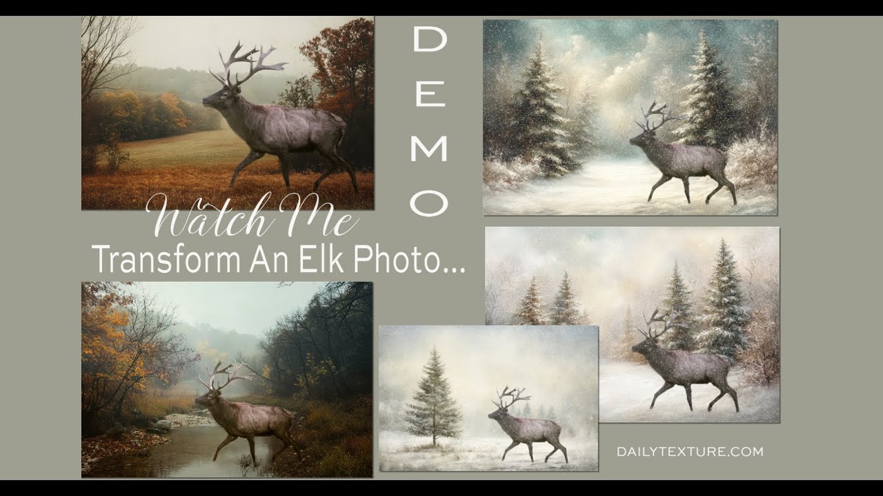 How to Transform an Elk Photo with Beautiful Backgrounds