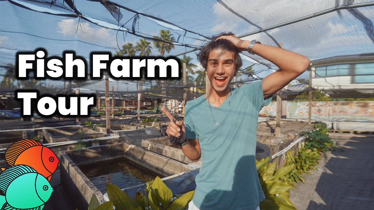 INCREDIBLE Florida Fish Farm Tour!!!