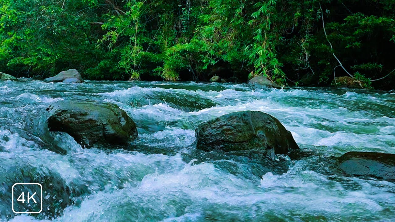SOOTHING STREAM SOUNDS FOR RELAXATION, STUDY & SLEEP , CALMING NATURE ASMR LIVE