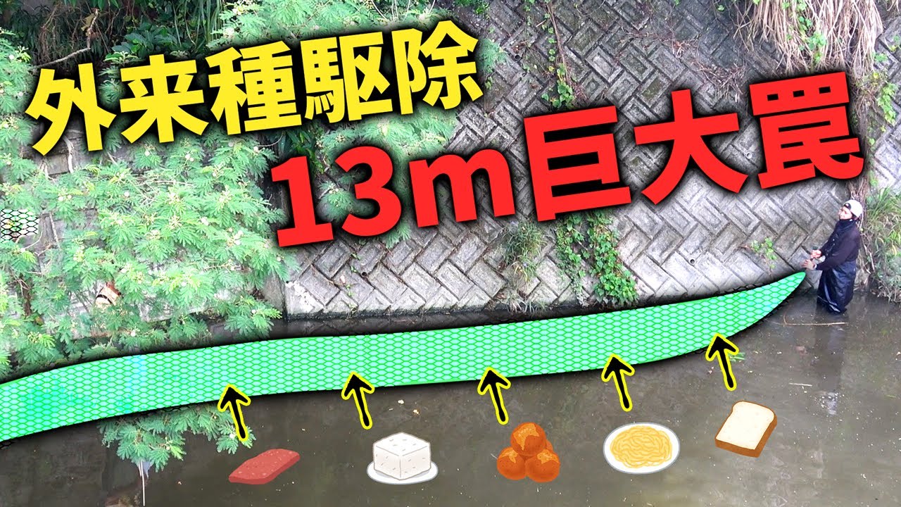 初の沖縄南部！異常繁殖した外来種を「13ｍ巨大罠」と「沖縄食材」で捕獲せよ！