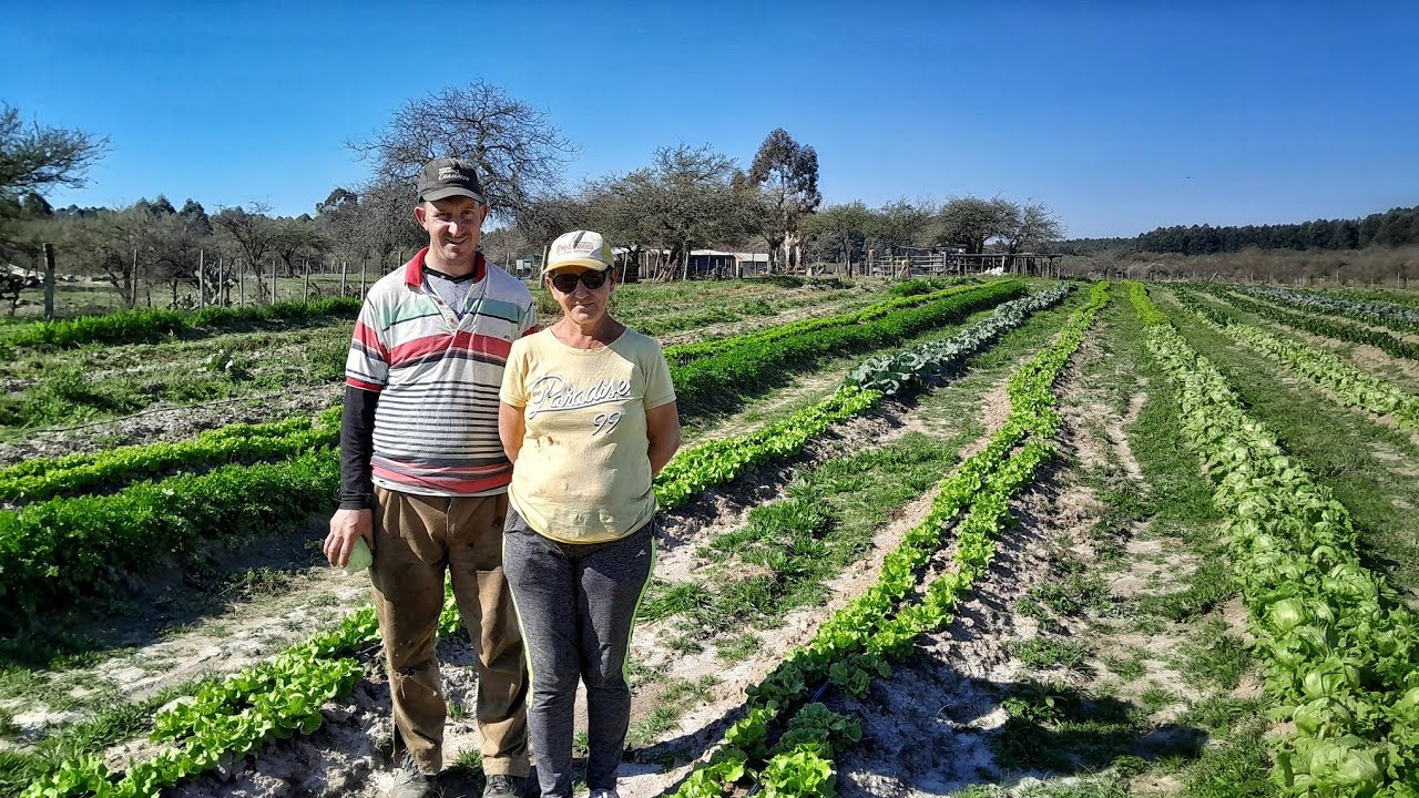 Madre e hijo viven OCULTOS tras este ARROYO | SIN LUZ, lejos de todo y COMIENDO lo que cultivan 