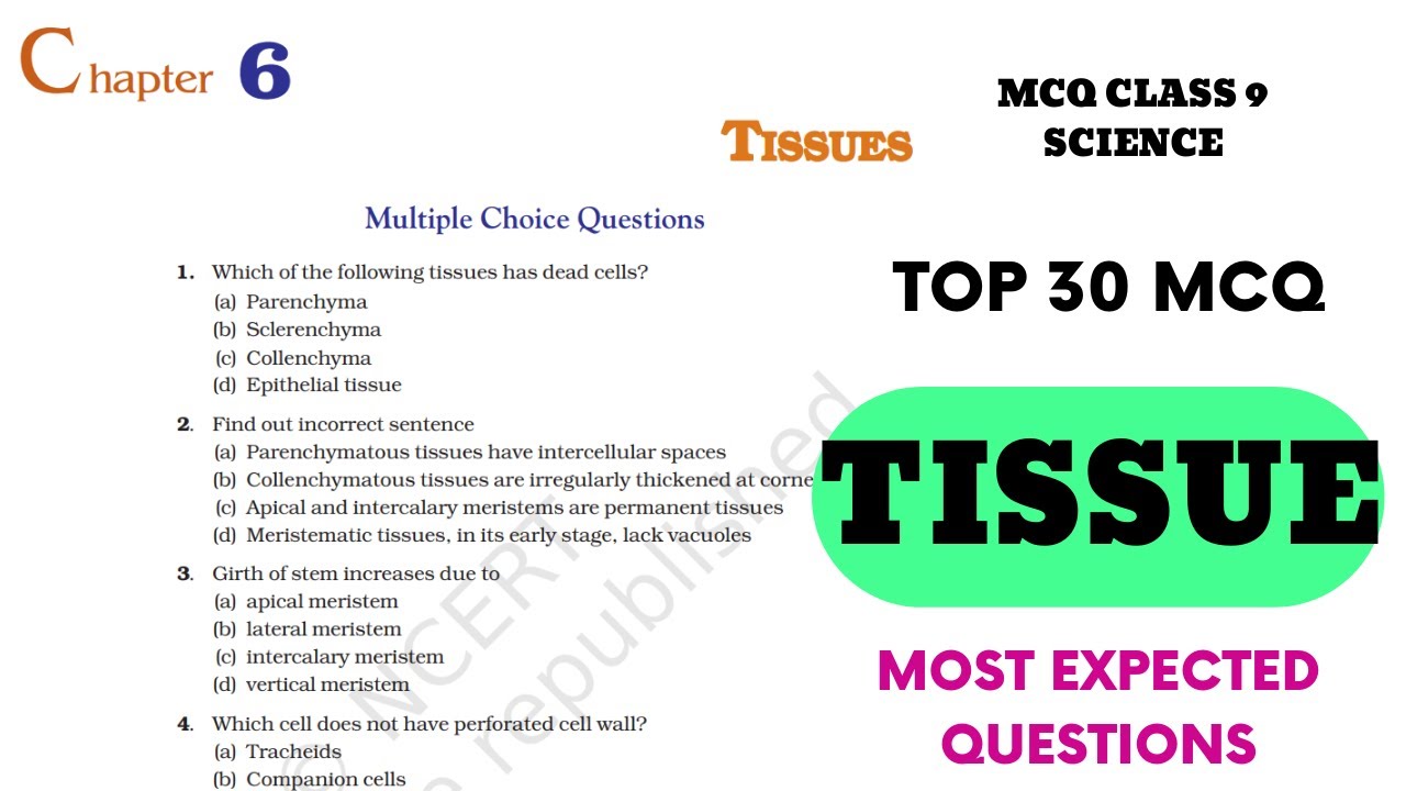 Best MCQ Tissue Class 9 Exemplar | Class 9 Tissue Questions #tissue #mcqncert