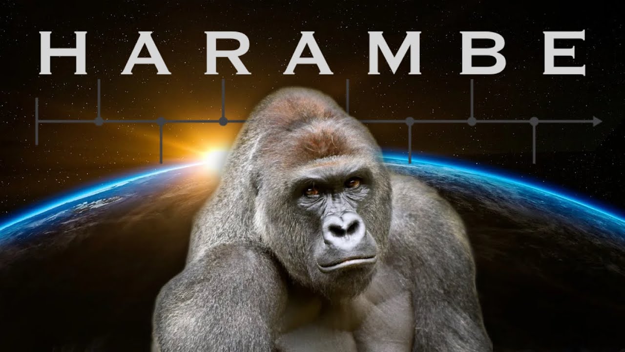 Harambe: The Unraveling of Humanity&rsquo;s Timeline