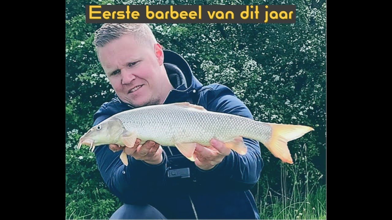 Feeder vissen op de rivier! De eerste barbeel dit jaar!! #vlog13
