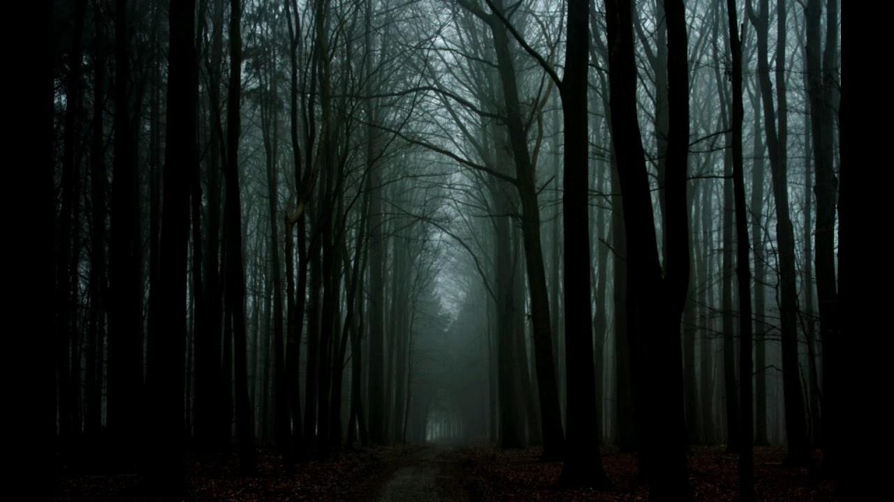 punk7890 - Lost Forest