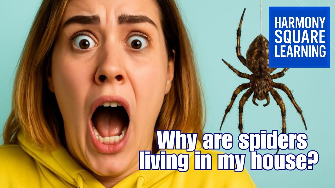 The Unexpected Reasons Spiders Choose Your Home