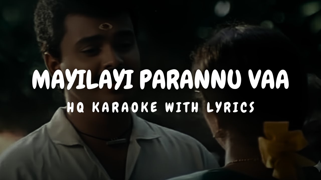 Mayilayi Parannu Vaa | High Quality Karaoke (With Lyrics) | Mayilpeelikavu |
