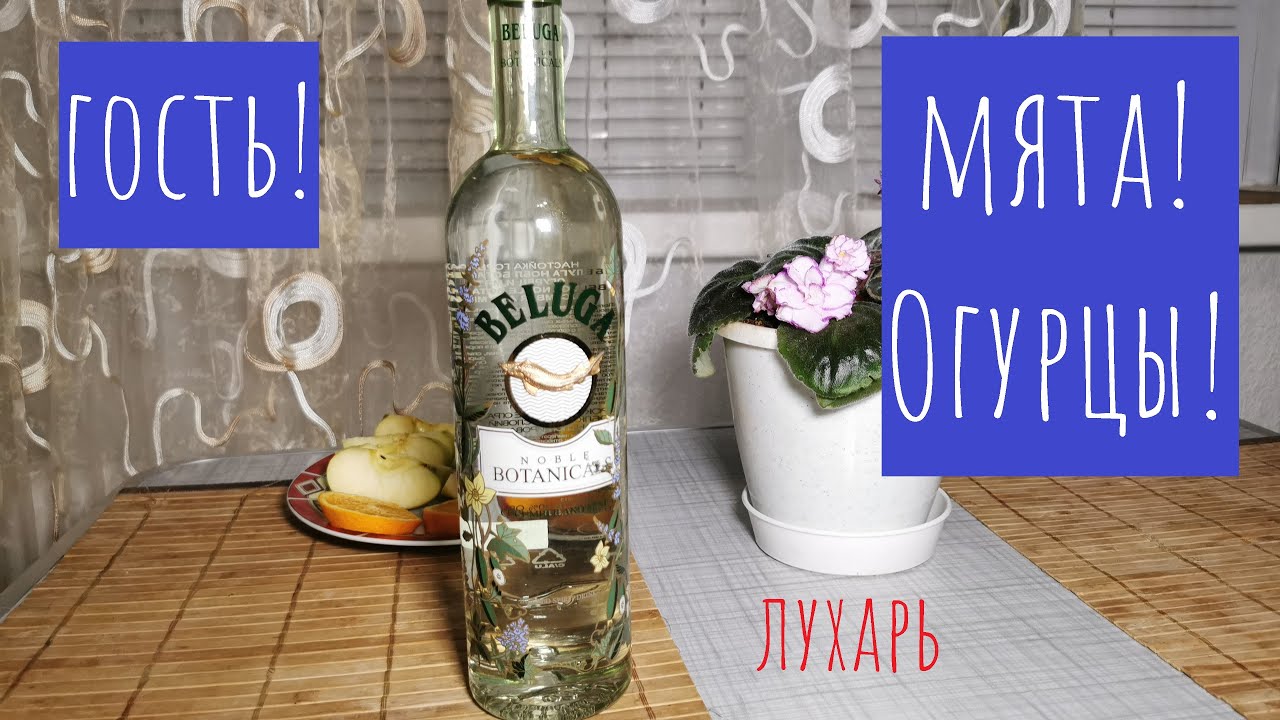 Настойка Beluga Noble Botanicals Cucumber and Mint. С гостем!