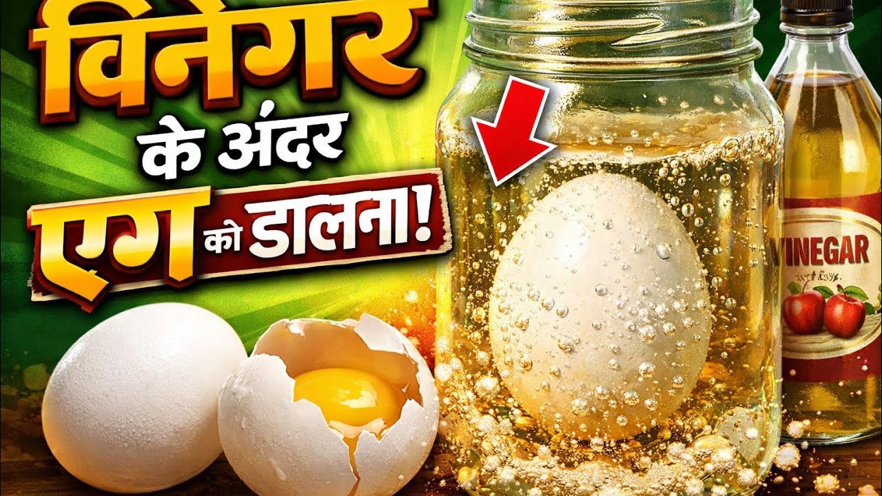 विनेगर के अंदर एग डालने से क्या होगा? 😱 | Egg in Vinegar Experiment