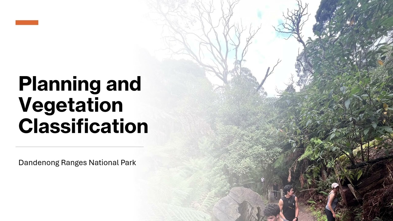 Planning and Vegetation Classification