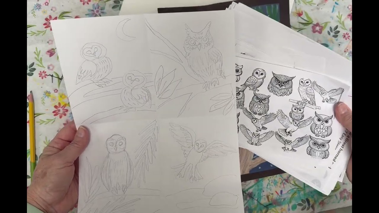 Owls 