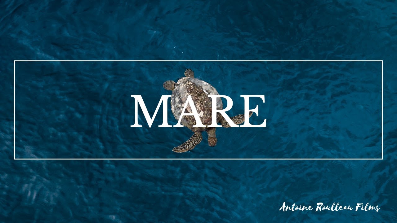 Maré - Nouvelle Calédonie // Antoine Roulleau