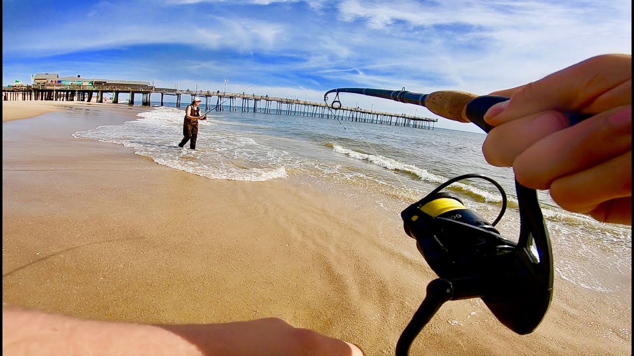 Nonstop Beach Fishing Speckled Trout Action in the Outer Banks Surf