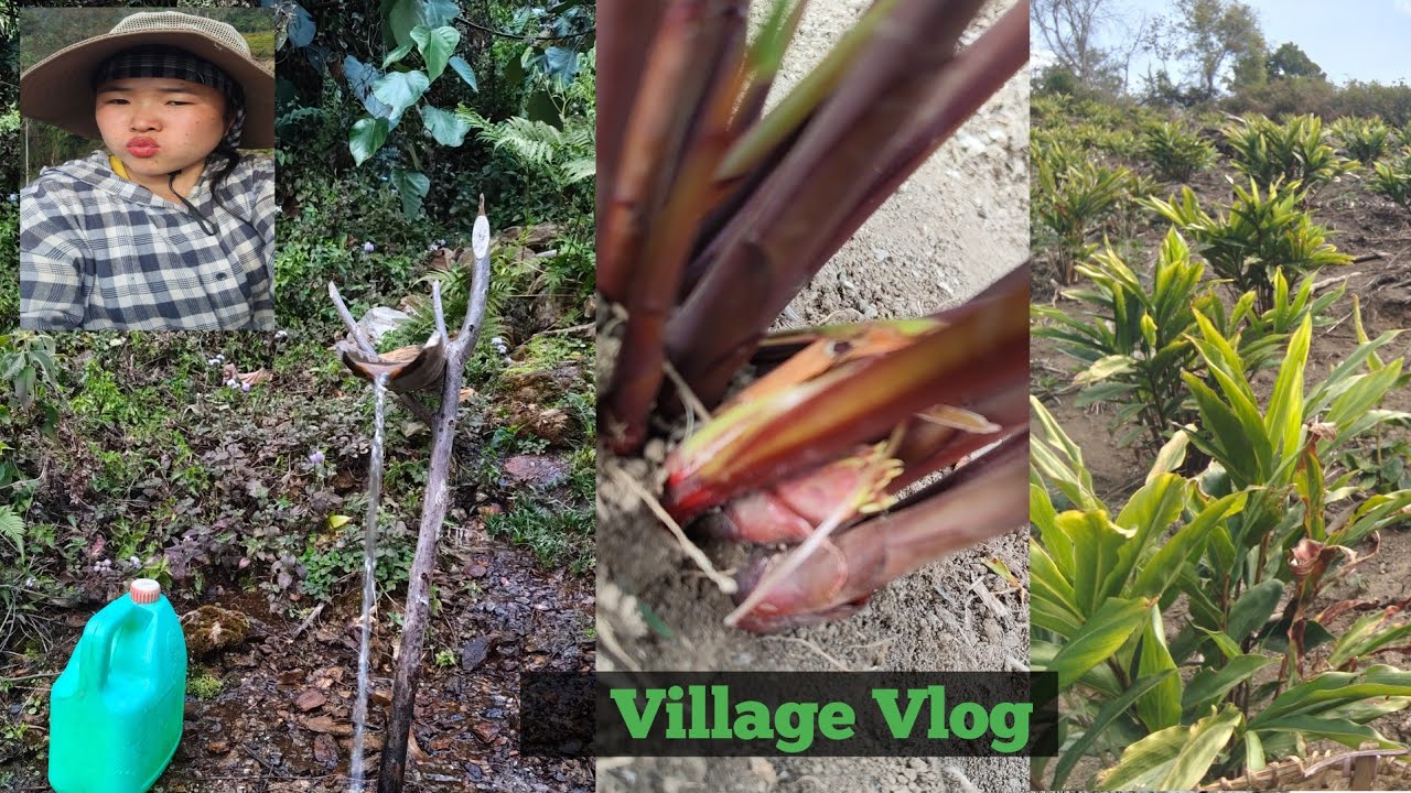 Yeh Hai Apna  Basti Ki Duniya || Kethi Karna To Chalta Hi Rehega|| 