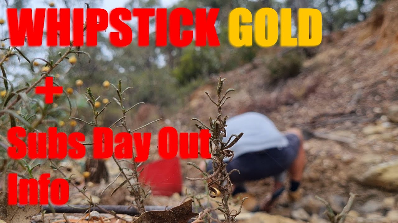 WHIPSTICK GOLD - Subs Day Out Info