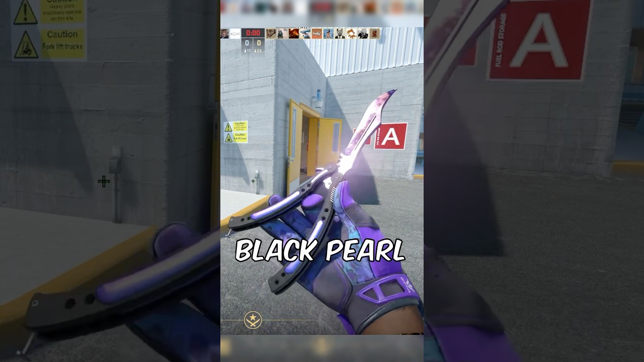 RARE Butterfly Knife Black Pearl Unboxing!😱