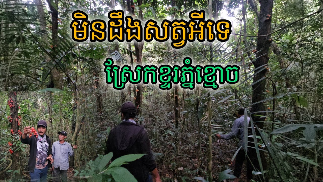 មិនដឹងសត្វអីទេស្រែកខ្ទរភ្នំខ្មោច