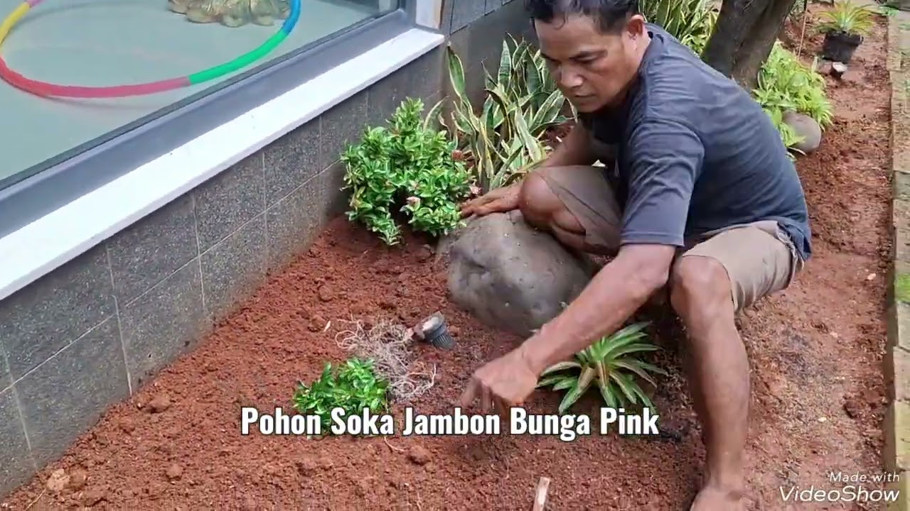 Inspirasi Taman Kering Minimalis Samping Rumah Harga Terjangkau
