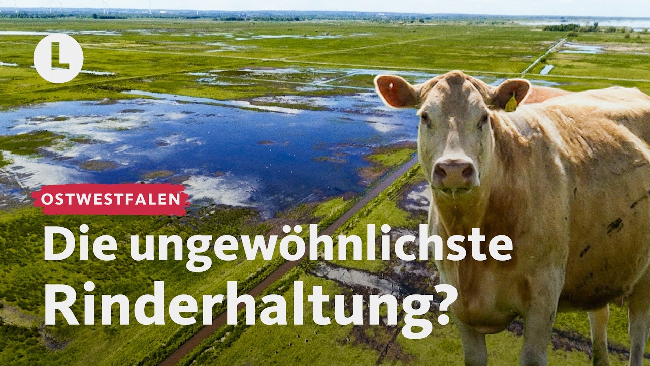 Was, wenn der Acker zum Naturschutzgebiet wird? | WDR Lokalzeit LandSchafft