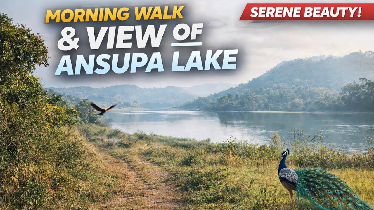 Magical Morning at Ansupa Lake: Stunning Lake Views & Rare Peacock Sightings!