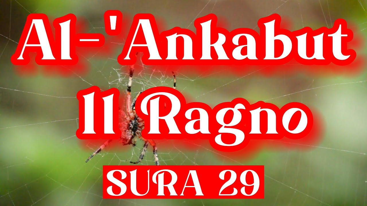 IL CORANO AUDIO ITALIANO SURA 29 Al ANKABUT Il RAGNO