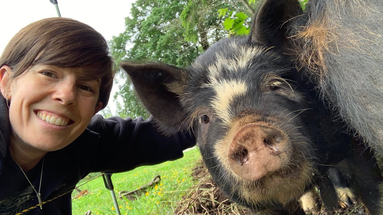 Fermented Feed & Raising Idaho Pasture Pigs